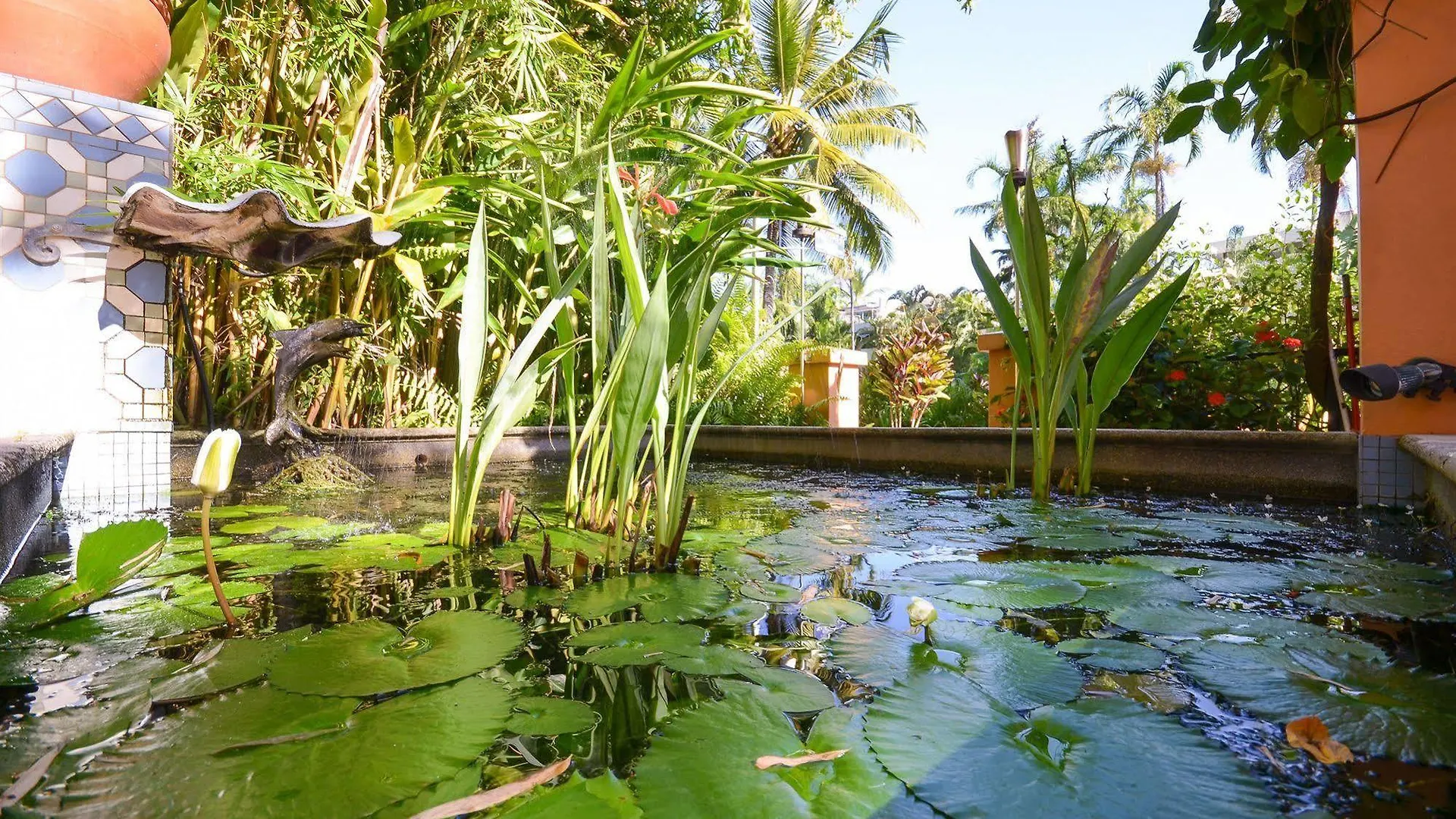 Martinique On Macrossan Aparthotel Port Douglas 4*,  Australia