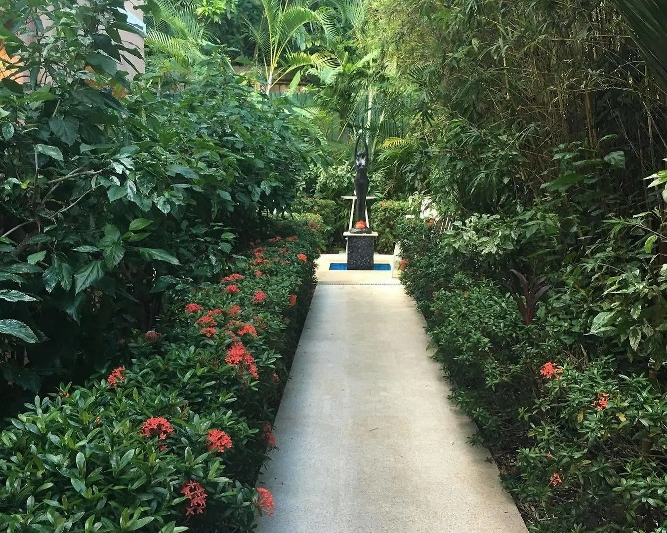 Martinique On Macrossan Aparthotel Port Douglas Australia